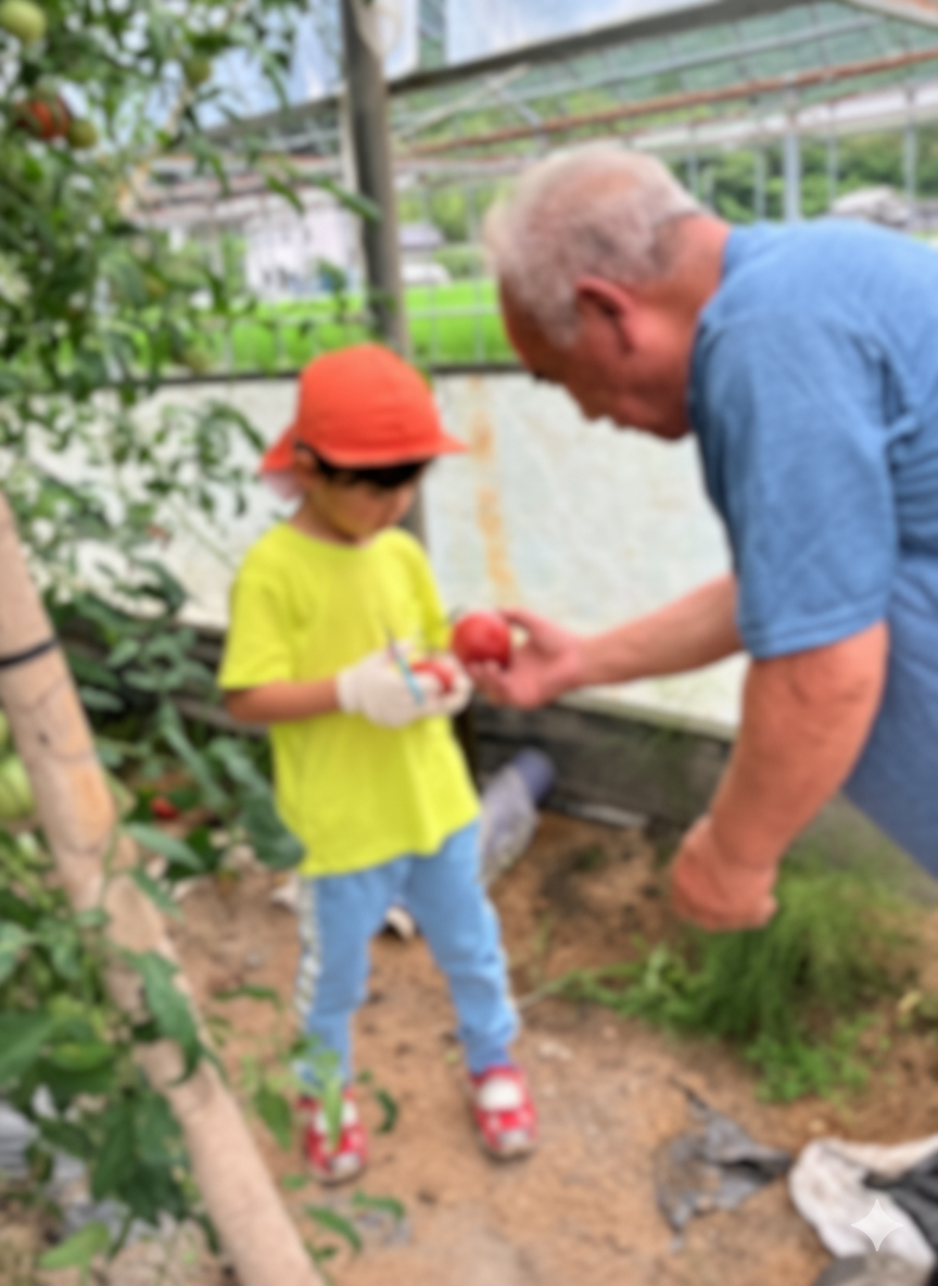 教育方針イメージ